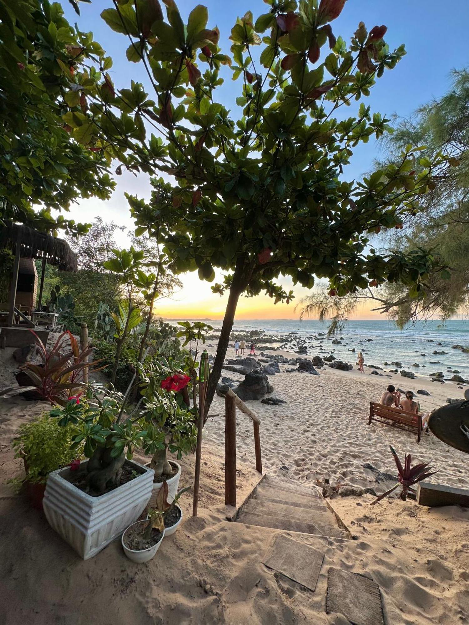Paraiso Tartarugas