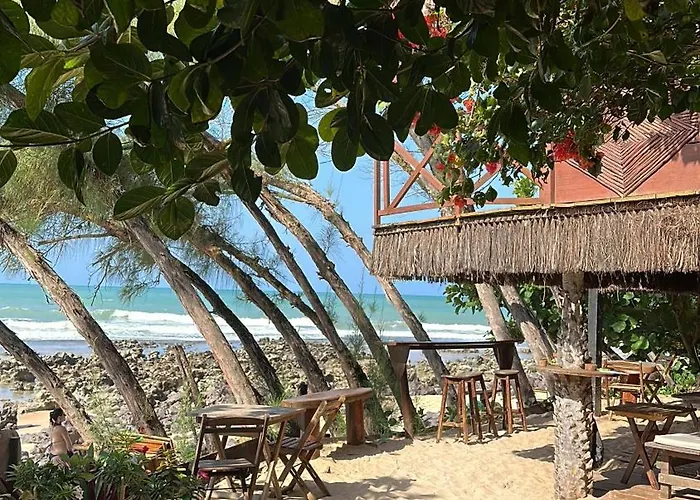 Pousada Paraiso Das Tartarugas