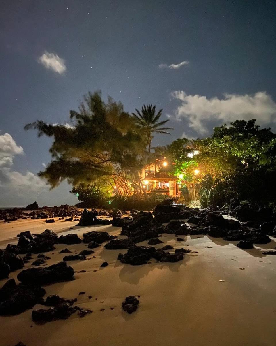 Paraiso Tartarugas *