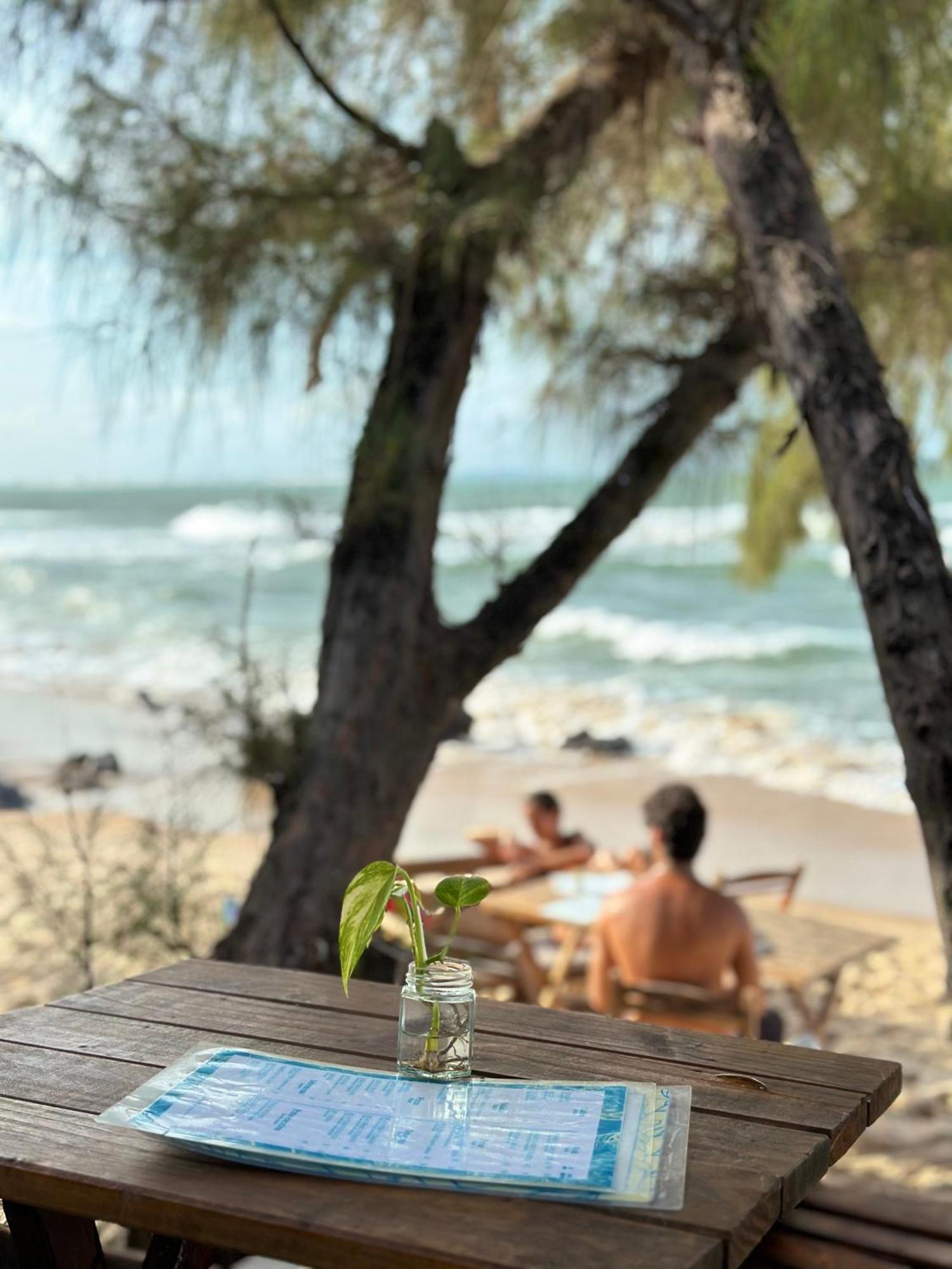 Inn Paraiso Tartarugas
