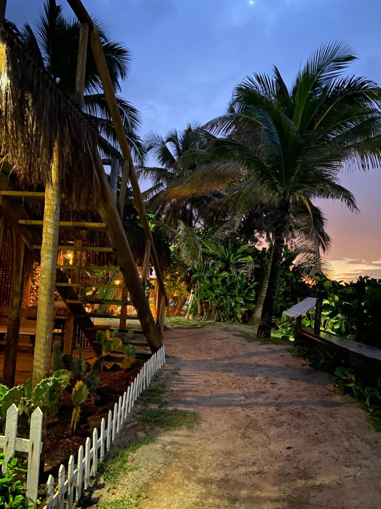 Paraiso Tartarugas