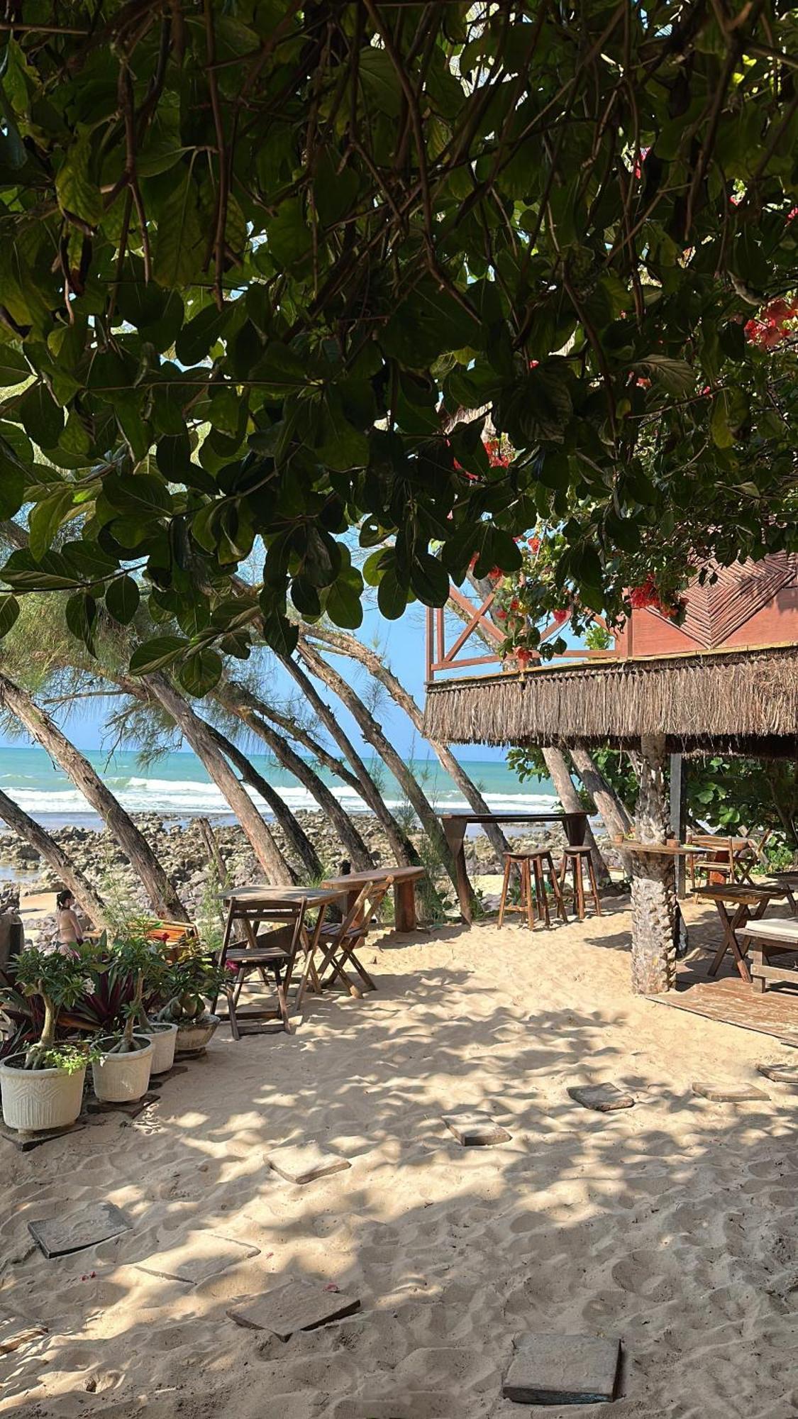 Paraiso Tartarugas *